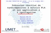 Extrusion réactive de nanocomposites à matrice PLA et son application à lignifugation Maryska MULLER Antoine GALLOS Dr. Gaëlle FONTAINE Prof. Serge BOURBIGOT.