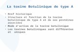 La toxine Botulinique de type A Bref historique Structure et fonction de la toxine botulinique de type A et de ses protéines associées Mode daction de.