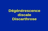 Dégénérescence discale Discarthrose. Dégénérescence du disque (perte de sa teneur en eau) Disque jeune Disque de 75 ans.