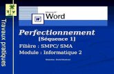 Perfectionnement [Séquence 1] Filière : SMPC/ SMA Module : Informatique 2 Réalisation : Rachid Bendaoud Travaux pratiques FSSM.