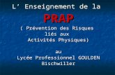 L Enseignement de la PRAP ( Prévention des Risques liés aux Activités Physiques) au Lycée Professionnel GOULDEN Bischwiller.