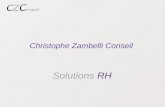 Solutions RH Christophe Zambelli Conseil. 2 Introduction.