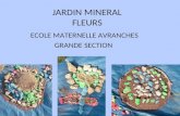 JARDIN MINERAL FLEURS ECOLE MATERNELLE AVRANCHES GRANDE SECTION