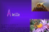 Labeille Européenne lavette ou la mouche à miel est une abeille à miel domestique originaire d'Europe. Elle est considérée comme semi-domestique. C'est.