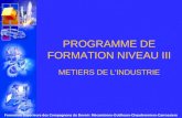 Formation Supérieure des Compagnons du Devoir: Mécaniciens-Outilleurs-Chaudronniers-Carrossiers PROGRAMME DE FORMATION NIVEAU III METIERS DE L'INDUSTRIE.