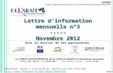Lettre dinformation mensuelle n°3 ----- Novembre 2012 Avec le soutien de nos partenaires CDLKDA Comité Départemental de la Loire de karaté et Disciplines.