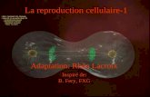 En lien à Campbell, N.A: 1 R Lacroix, biologie v.a03 La reproduction cellulaire-1 Réf.: Campbell, N.A. Biologie: chap.11 et en partie chap. 12 –La reproduction.
