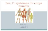 SCIENCES 8 MODULE 4 CHAPITRE 11 Les 11 systèmes du corps humain.