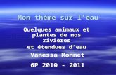 Mon thème sur leau Quelques animaux et plantes de nos rivières et étendues deau Vanessa Monnet 6P 2010 - 2011.