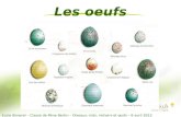 Ecole Bimorel – Classe de Mme Bertin – Oiseaux, nids, nichoirs et œufs – 6 avril 2012 Les oeufs.