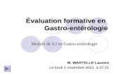 Évaluation formative en Gastro-entérologie M. WARTELLE Laurent Le mardi 6 mai 2014mardi 6 mai 2014mardi 6 mai 2014mardi 6 mai 2014 à 21:13 Module de S.I.