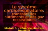 Le système cardiorespiratoire: transport des nutriments et des gaz respiratoires Module 1 – Lénergie chez les humains.