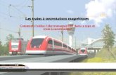 TPE Les trains à sustentations magnétiques Comment sutilise lélectromagnétisme dans ce type de train à sustentation? 1.