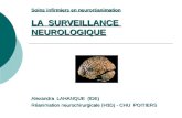 Soins infirmiers en neuroréanimation LA SURVEILLANCE NEUROLOGIQUE Alexandra LAHANQUE (IDE) Réanimation neurochirurgicale (H3D) - CHU POITIERS.