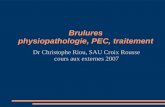 Brulures physiopathologie, PEC, traitement Dr Christophe Riou, SAU Croix Rousse cours aux externes 2007.
