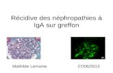 Récidive des néphropathies à IgA sur greffon Mathilde Lemoine 27/06/2013.