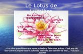 Le Lotus de Lumière Une place pour chacun… un espace de bien-être Un projet de vie Un contact personnalisé Une Terre de Bretagne « Le plus grand bien.