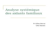Analyse systémique des aidants familiaux Pr Gilles Berrut CHU Nantes.