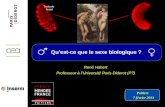 René Habert Professeur à lUniversité Paris-Diderot (P7) Quest-ce que le sexe biologique ? Poitiers 7 février 2013 Testicule foetal Ovaire foetal.