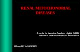 RENAL MITOCHONDRIAL DISEASES Journée de Formation Continue Hôpital ISSAD HASSANI- BENI MESSOUS 13 janvier 2013 Mohamed El Hadi CHERIFI.