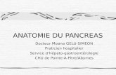 ANATOMIE DU PANCREAS Docteur Moana GELU-SIMEON Praticien hospitalier Service dhépato-gastroentérologie CHU de Pointe-A-Pitre/Abymes.