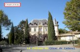 Le château de César de Cadenet Le village de Charleval est situé face au massif du Luberon. Le village présente la particularité dêtre À l » Américaine.