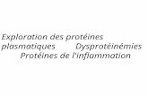 Exploration des protéines plasmatiques Dysprotéinémies Protéines de l'inflammation.