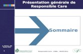 111 Responsible Care – CSNIL – 09/02/2011 Sommaire A. Pierrat – UIC Février 2011 Présentation générale de Responsible Care.
