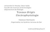 Université Dr Moulay Tahar-Saida Faculté des Sciences &Technologies Département de Biologie Travaux dirigés Electrophysiologie TRAVAUX PRATIQUES Organisation.