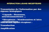 INTERACTION LIGAND RECEPTEURS Ligands : Hormones, neurotransmetteurs … Récepteurs : Membranaires et intra cytoplasmiques Transmission de linformation par.