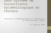 Sous-Système de Surveillance Epidémiologique du Choléra Direction dEpidémiologie de Laboratoire et de Recherche (DELR) 31 Janvier 2014.