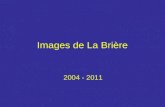Images de La Brière 2004 - 2011. du côté de St Lyphard.