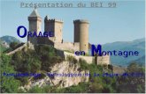 Présentation du BEI 99 O RAAGE en M ontagne Problématiquehydrologique de la région de Foix.