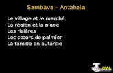 Sambava – Antahala Le village et le marché La région et la plage Les rizières Les cœurs de palmier La famille en autarcie.