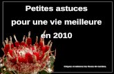 Petites astuces pour une vie meilleure en 2010 Cliquez et admirez les fleurs de cactées.
