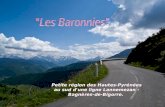 Petite région des Hautes-Pyrénées au sud d'une ligne Lannemezan - Bagnères-de-Bigorre. Petite région des Hautes-Pyrénées au sud d'une ligne Lannemezan.