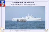 1 Lamphibie en France Lamphibie en France - état des lieux, perspectives - Lcl Guillaume GARNIER, ESORSEM le 20 janv. 2014.