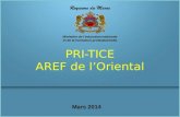 Mars 2014 PRI-TICE AREF de lOriental. Monographie.
