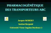PHARMACOGÉNÉTIQUE DES TRANSPORTEURS ABC Jacques ROBERT Institut Bergonié Université Victor Segalen Bordeaux 2.