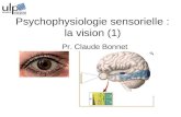 Psychophysiologie sensorielle : la vision (1) Pr. Claude Bonnet.