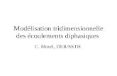 Modélisation tridimensionnelle des écoulements diphasiques C. Morel, DER/SSTH.