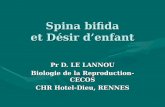 Spina bifida et Désir denfant Pr D. LE LANNOU Biologie de la Reproduction-CECOS CHR Hotel-Dieu, RENNES.