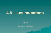 4.5 – Les mutations SBI 4U Dominic Décoeur. De lADN à la protéine Entrez une séquence et voyez la protéine codée. De plus, observez leffet dajouter ou.