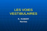 LES VOIES VESTIBULAIRES R. ROBERT Nantes. PHYLOGENESE PHYLOGENESE.