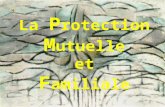 La P rotection M utuelle et F amiliale Arrêté du 16 décembre 2003 portant agrément d'une mutuelle La Protection mutuelle et familiale (PMF), inscrite.