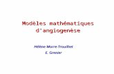 Modèles mathématiques dangiogenèse Hélène Morre-Trouilhet E. Grenier.