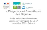 « Diagnostic et Surveillance des Digues» De la recherche à la pratique Journées Techniques du 16-17 novembre 2011, Orléans.