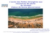 Laccès des flottes étrangères aux ressources de pêche du Sénégal Enjeux de bonne gouvernance Forum n°4 Mbour - 8 Janvier 2014 Gaoussou Gueye, Président.