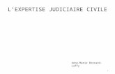 LEXPERTISE JUDICIAIRE CIVILE Anne-Marie Brocard-Laffy 1.