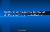 Réunion de réstitution du diagnostic- 13 septembre 2001 1 Synthèse du diagnostic territorial du Pays du "Sisteronais-Buëch"